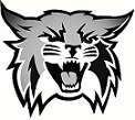 District Logo